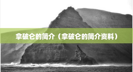 拿破仑的简介（拿破仑的简介资料）