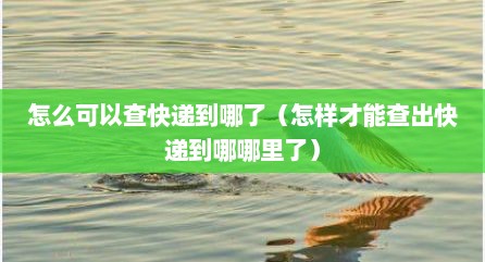 怎么可以查快递到哪了（怎样才能查出快递到哪哪里了）