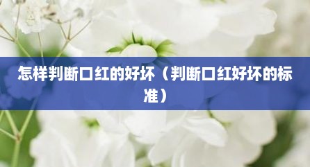 怎样判断口红的好坏（判断口红好坏的标准）