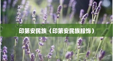 印第安民族（印第安民族服饰）