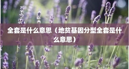 全套是什么意思（地贫基因分型全套是什么意思）