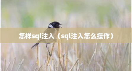 怎样sql注入（sql注入怎么操作）