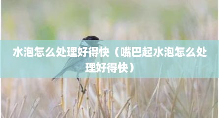 水泡怎么处理好得快（嘴巴起水泡怎么处理好得快）