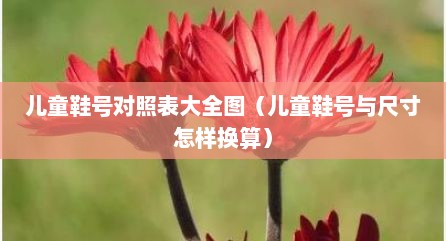 儿童鞋号对照表大全图（儿童鞋号与尺寸怎样换算）