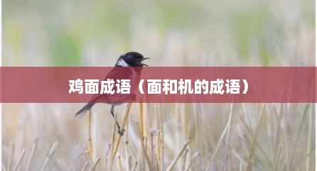 鸡面成语（面和机的成语）