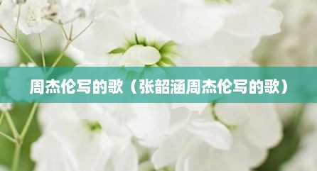 周杰伦写的歌（张韶涵周杰伦写的歌）