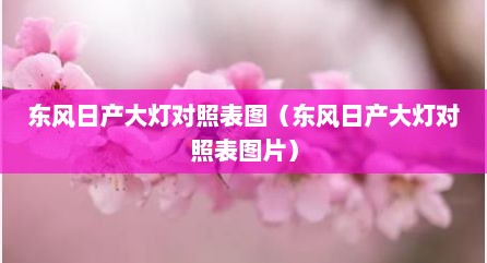 东风日产大灯对照表图（东风日产大灯对照表图片）