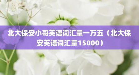 北大保安小哥英语词汇量一万五（北大保安英语词汇量15000）