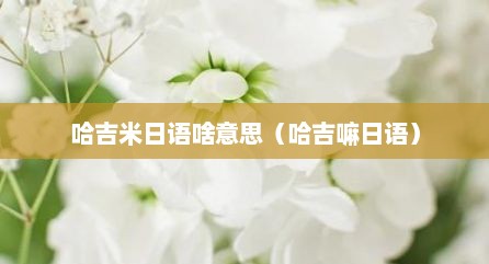 哈吉米日语啥意思（哈吉嘛日语）