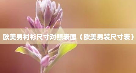 欧美男衬衫尺寸对照表图（欧美男装尺寸表）