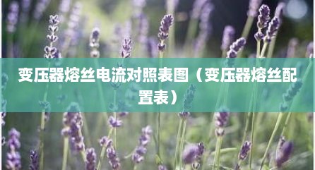 变压器熔丝电流对照表图（变压器熔丝配置表）