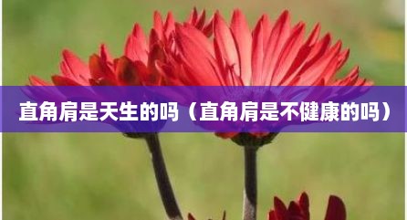 直角肩是天生的吗（直角肩是不健康的吗）