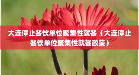 大连停止餐饮单位聚集性就餐（大连停止餐饮单位聚集性就餐政策）
