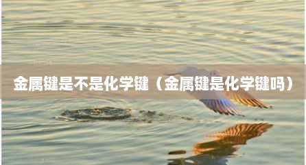 金属键是不是化学键（金属键是化学键吗）