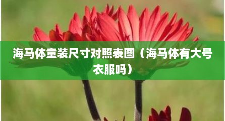 海马体童装尺寸对照表图（海马体有大号衣服吗）