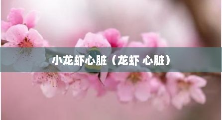 小龙虾心脏（龙虾 心脏）