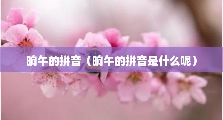 晌午的拼音（晌午的拼音是什么呢）