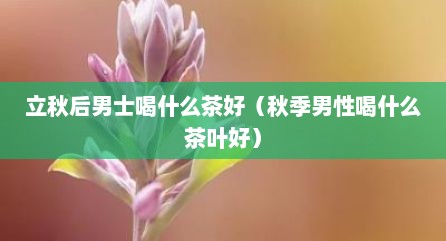 立秋后男士喝什么茶好（秋季男性喝什么茶叶好）