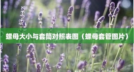 螺母大小与套筒对照表图（螺母套管图片）