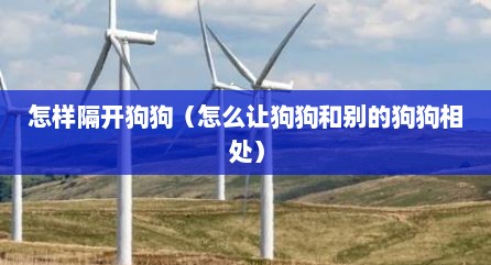 怎样隔开狗狗（怎么让狗狗和别的狗狗相处）