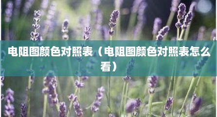电阻图颜色对照表（电阻图颜色对照表怎么看）