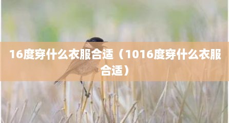 16度穿什么衣服合适（1016度穿什么衣服合适）