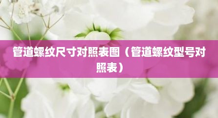 管道螺纹尺寸对照表图（管道螺纹型号对照表）
