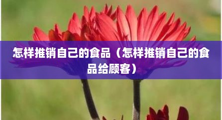 怎样推销自己的食品（怎样推销自己的食品给顾客）