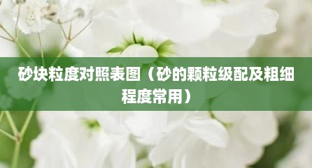 砂块粒度对照表图（砂的颗粒级配及粗细程度常用）