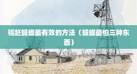驱赶蟑螂最有效的方法（蟑螂最怕三种东西）
