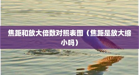 焦距和放大倍数对照表图（焦距是放大缩小吗）