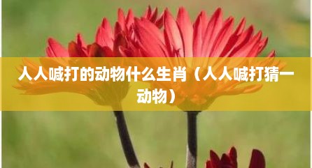 人人喊打的动物什么生肖（人人喊打猜一动物）