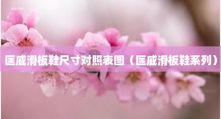 匡威滑板鞋尺寸对照表图（匡威滑板鞋系列）