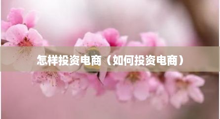 怎样投资电商（如何投资电商）