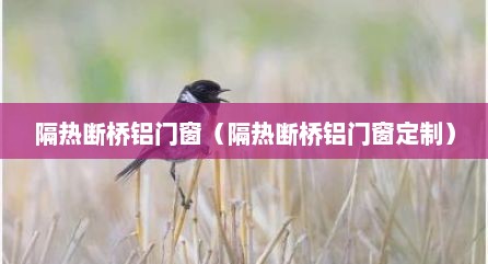 隔热断桥铝门窗（隔热断桥铝门窗定制）