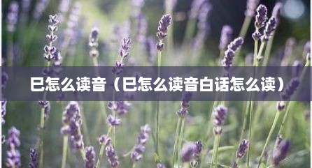 巳怎么读音（巳怎么读音白话怎么读）