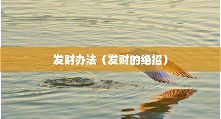 发财办法（发财的绝招）