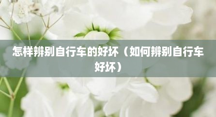 怎样辨别自行车的好坏（如何辨别自行车好坏）