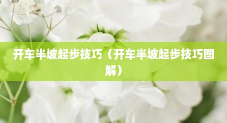 开车半坡起步技巧（开车半坡起步技巧图解）