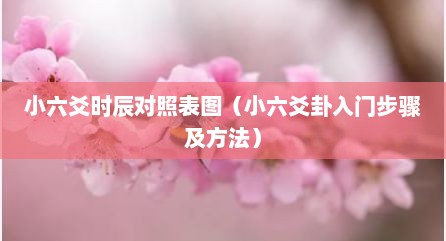 小六爻时辰对照表图（小六爻卦入门步骤及方法）