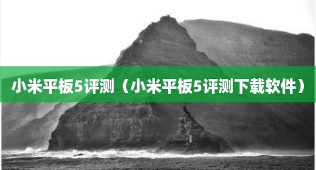 小米平板5评测（小米平板5评测下载软件）
