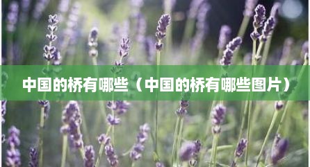 中国的桥有哪些（中国的桥有哪些图片）