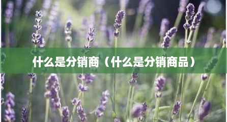 什么是分销商（什么是分销商品）