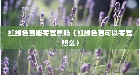 红绿色盲能考驾照吗（红绿色盲可以考驾照么）