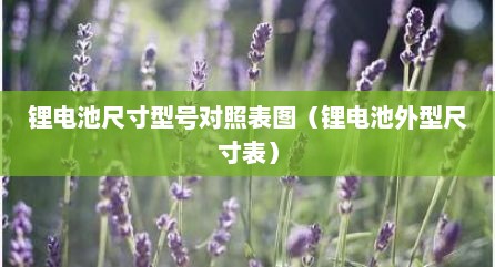 锂电池尺寸型号对照表图（锂电池外型尺寸表）