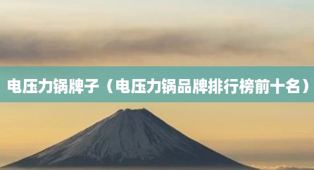 电压力锅牌子（电压力锅品牌排行榜前十名）