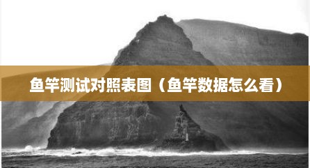 鱼竿测试对照表图（鱼竿数据怎么看）