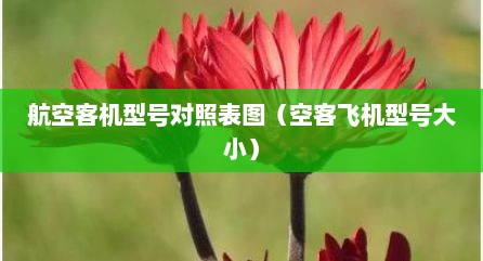 航空客机型号对照表图（空客飞机型号大小）