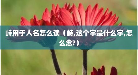 峙用于人名怎么读（峙,这个字是什么字,怎么念?）