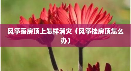 风筝落房顶上怎样消灾（风筝挂房顶怎么办）
